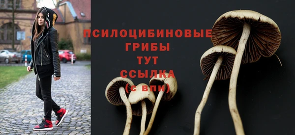 ECSTASY Алексеевка